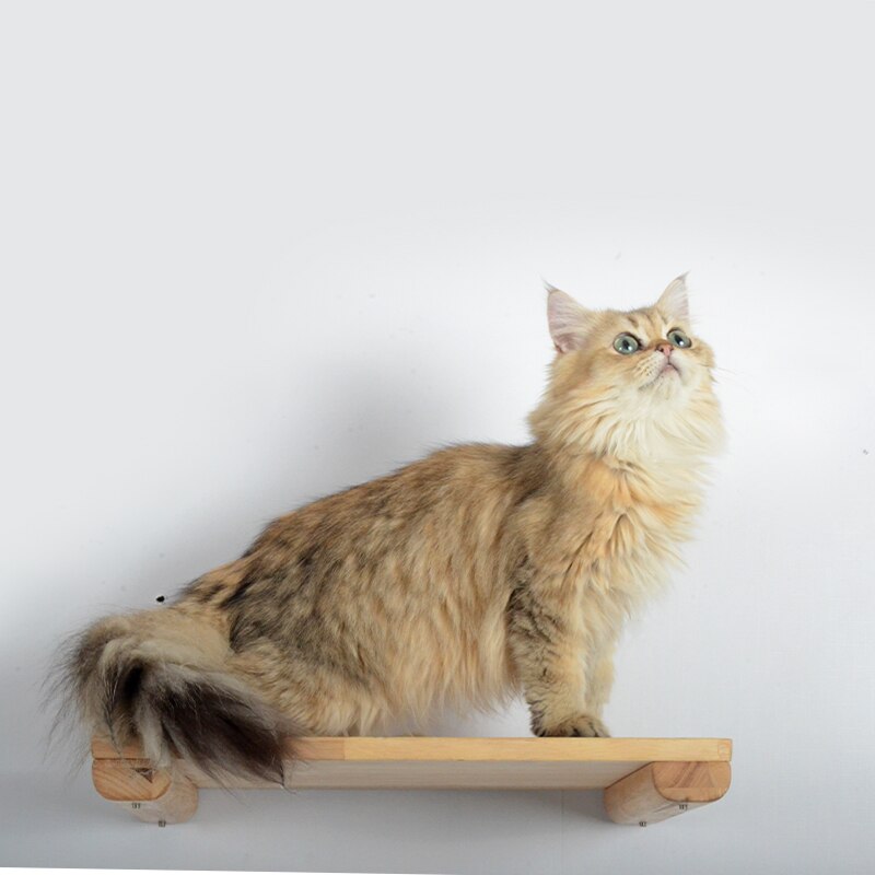 Kattenboom, kattenmeubel, kattenflat, kattenkrabpaal, kattenmuurmeubel, kattenklimboom