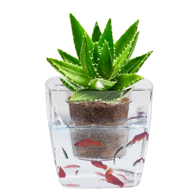 Ecologische aquarium bloempot tafelmodel gras plantenbak plastic bloempot geometrisch aquarium