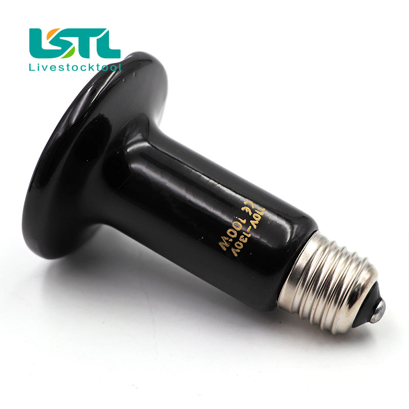 2 sztuk zwierzę domowe gadów ogrzewanie żarówka podczerwieni ceramiczne emiter lampy grzewcze zwierzęta domowe są nasiadka gad lampa 220 V-240 V