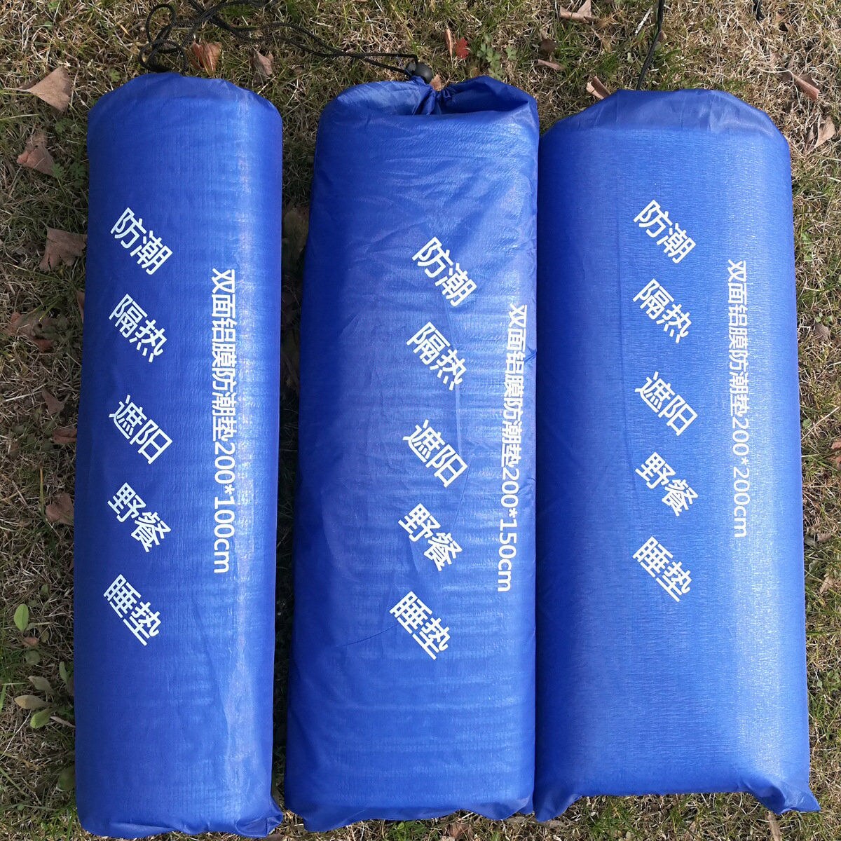 Damp Proof Sand Beach Nap Mat Outdoor Picnic Mat Aluminum Film Super Portable Waterproof Moisture Proof Warm Camping Ground Mat