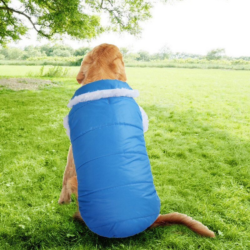 L-3XL Winter Dog Clothes Pet Dog Plus Velvet Warm Thickening Jacket Jumpsuit Puppy warm Parkas Padded coat For Medium Large Dog: BLue / L
