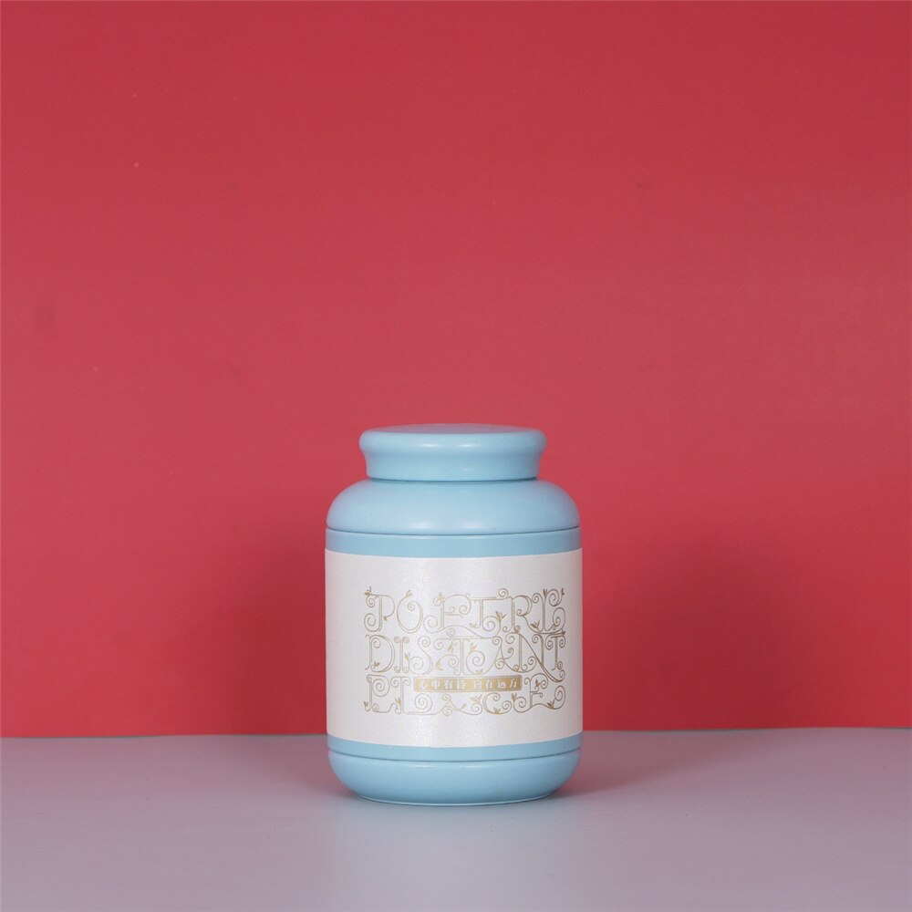 Portable Tinplate Tin tea caddy Tieguanyin sealed storage tank travel Tea Boxes tea tin containers coffee canister Spice jar: A09