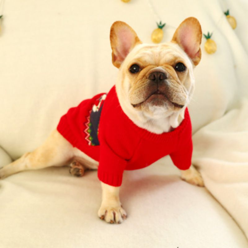 Déguisement de noël pour petits chiens | Vêtements en tissu, avec motif de dessin animé, pour animaux domestiques, chiens, 1 pièce