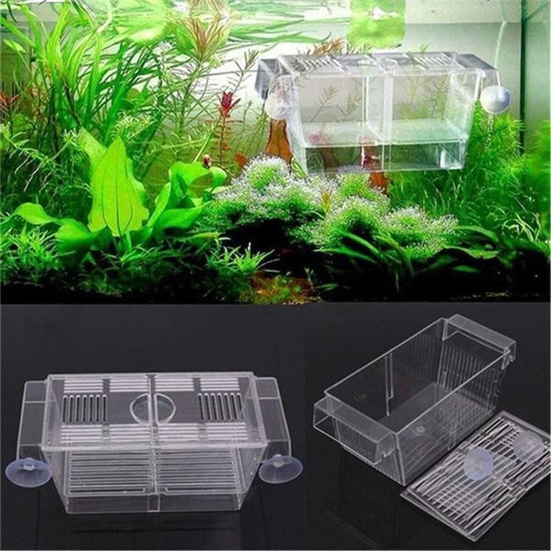 Gennemsigtig plast akvarium lille fisk yngel isolering kasse luge kasse inkubator akvarium inkubator hjem fisk tank opdræt kasse