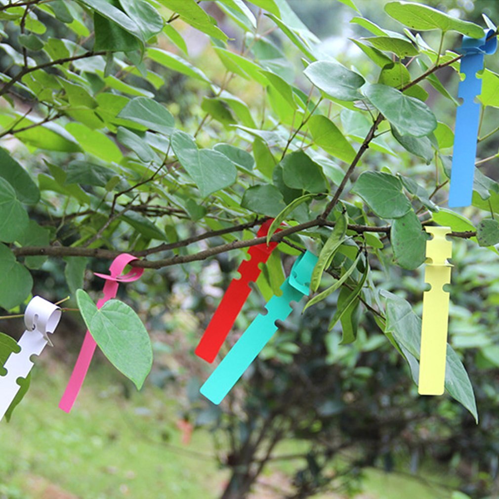 Etiqueta de plástico para árbol de plantas, etiqueta colgante envolvente para jardín, juego de etiquetas prácticas para jardinería