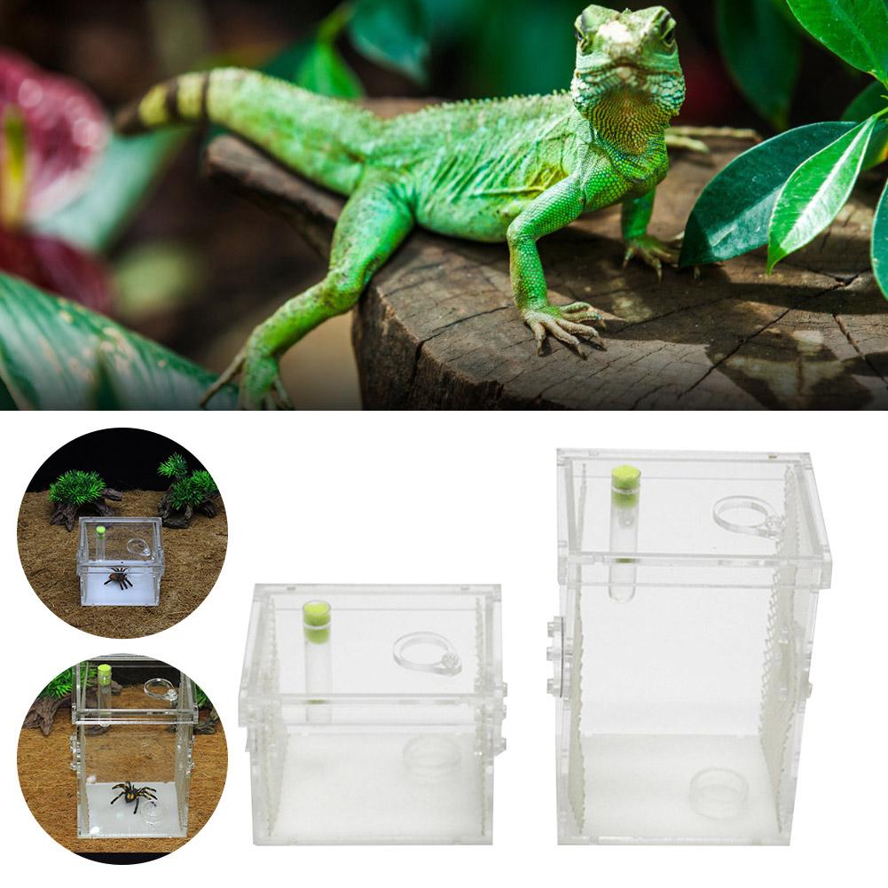 Reptile Breeding Box Acrylic Transparent Sliding Cover Reptile Tank Insect Spiders Tortoise Lizard Feeding Box Terrarium