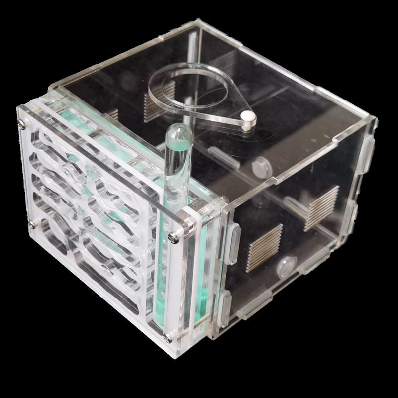 Large Ant Farm Acrylic Ecologico Ant Nest Workshop Transparent Insectes Ants Queen Ants Workshop Ecologico Observation Ant House