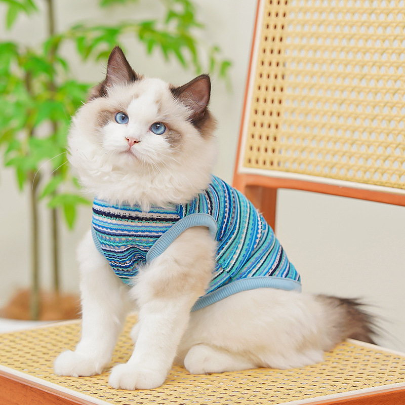 Ropa de malla para perros y gatos, sudaderas con capucha sin mangas de color rosa y azul, chaleco para cachorros, ropa, sudadera para gatitos, camiseta sin mangas para perros pequeños L