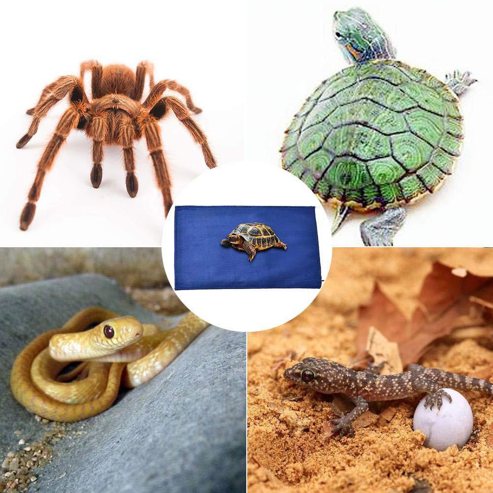 Tanque de terrario, Reptiles, tapete de calor, regulador ajustable de temperatura, almohadillas de calentamiento para mascotas, manta eléctrica para Reptiles, suministros para Reptiles