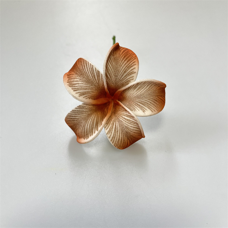 12 piezas de pinzas para el cabello de flores de Plumeria hawaiana, tocados de flores de espuma de playa de 2,4 pulgadas para accesorios para de boda: Champán