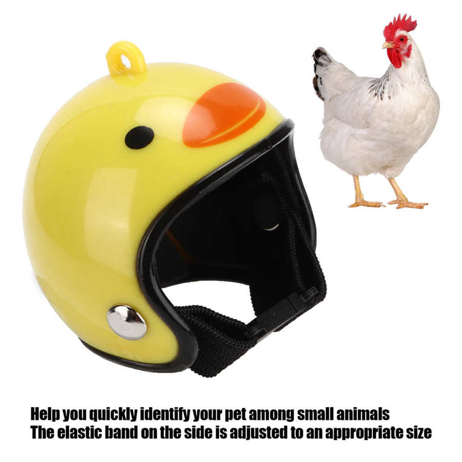 Kip Helm Kleine Hoofddeksels Funny Pet Helm Accessoires Voor Kleine Kippen En Vogels Dierbenodigdheden
