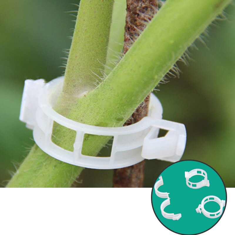 50/100 stk gjenbrukbare plast gjerder espalier porter planter hengende vintreet plante støtte klips hage drivhus hage ornament