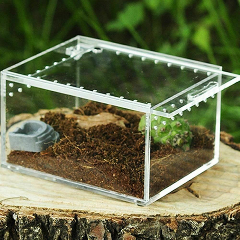 De plexiglás de acrílico terrario para reptiles Gecko serpiente, lagarto insecto araña vivero jaula TANQUE DE magnético tapa