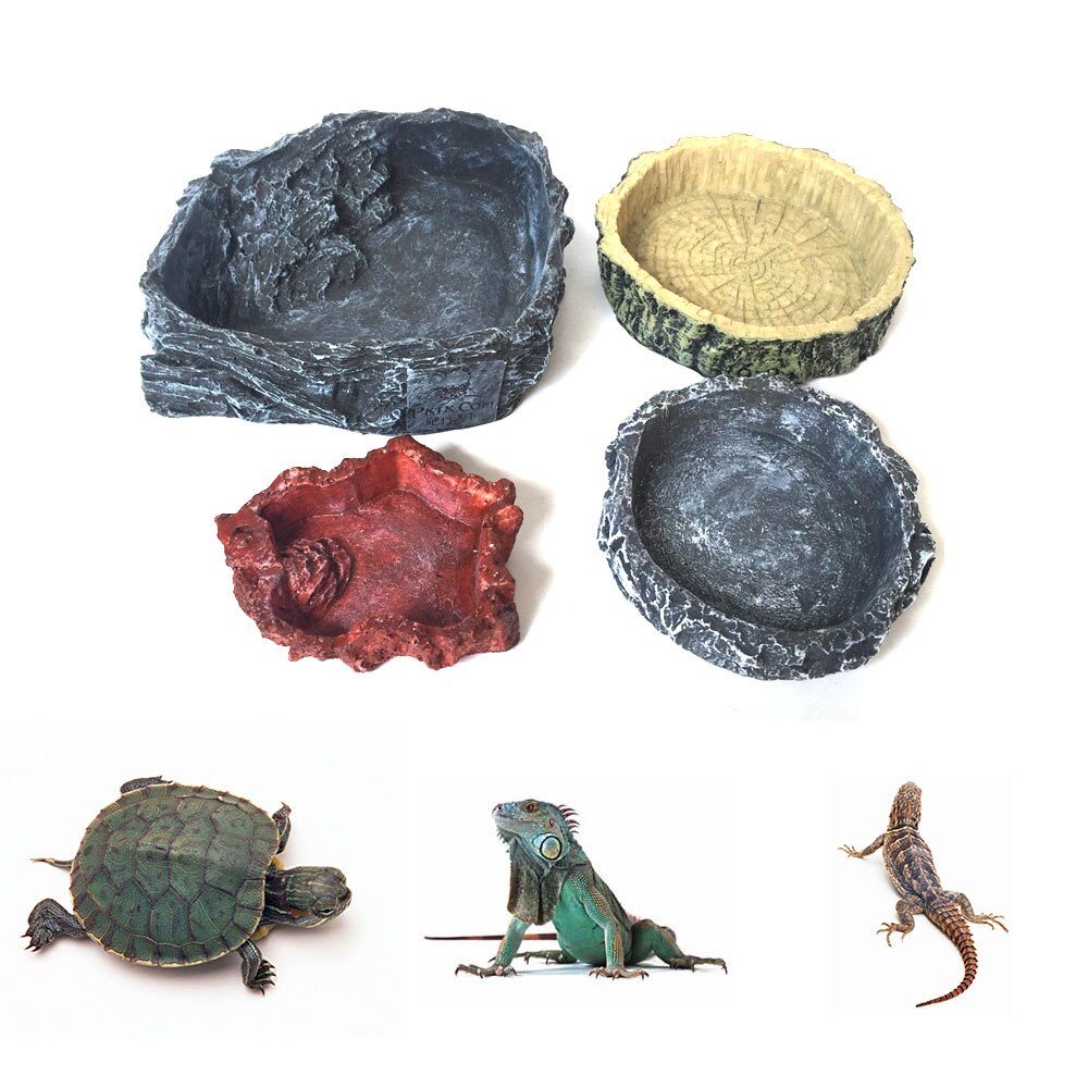 Żywica gad akcesoria podajnik przyssawka pijący żółwie miska żółw Terrarium lampart gekon akcesoria przyssawka