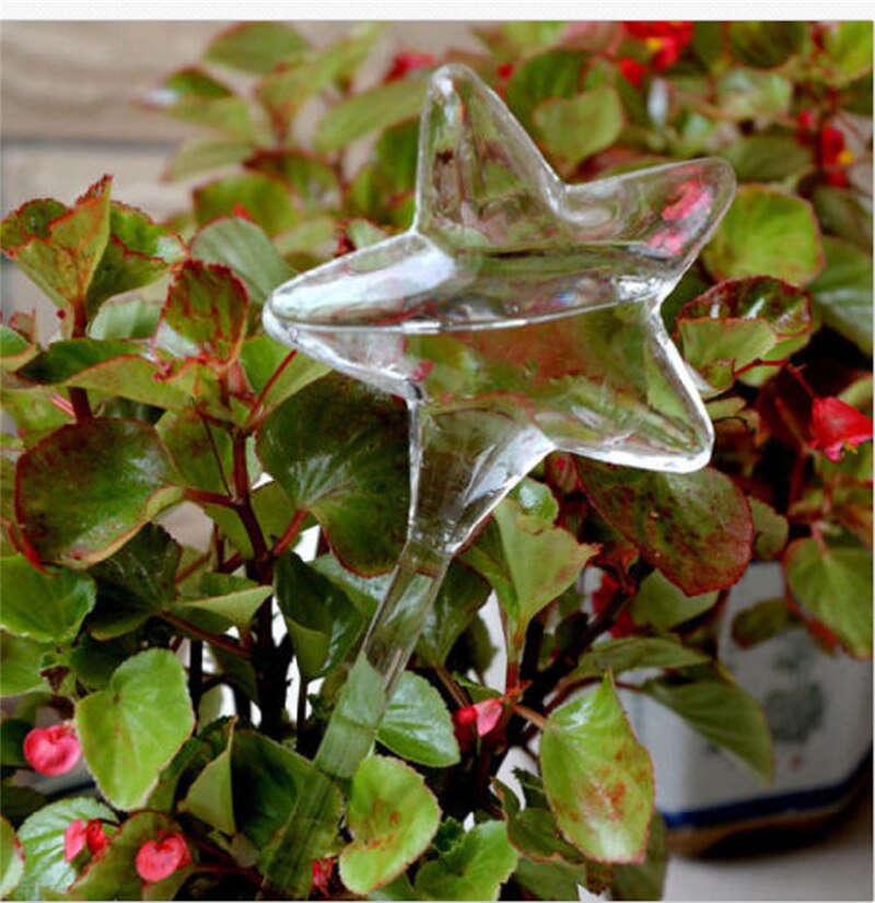Plantevandingsindretning 6 former husplanter blomster vandføder automatisk selvvandende udstyr klar glas vandføder fugl: Stjerne