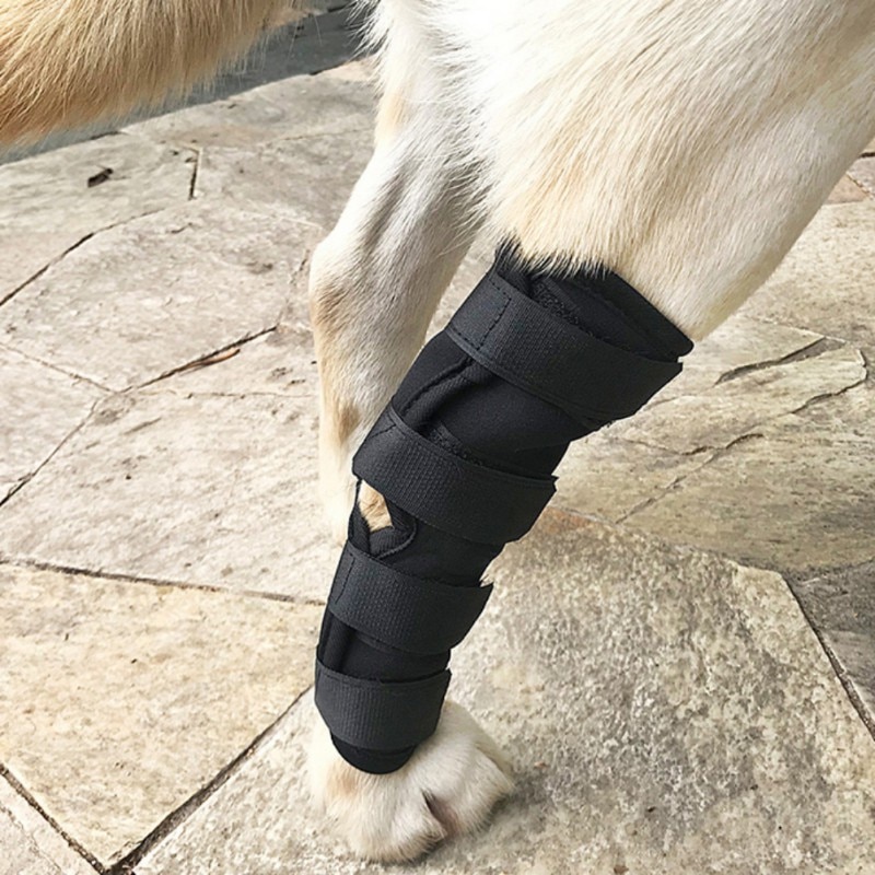 Hund opsving ærme kæledyr sår ekstra understøttende hund hund bagben ben hock joint wrap beskytter bandage beskytte – Grandado