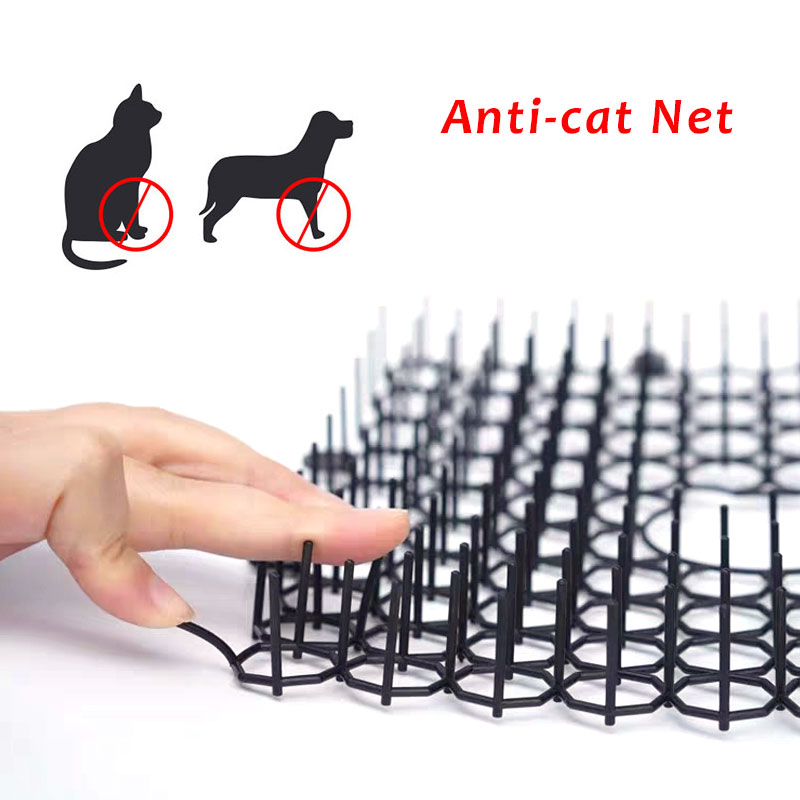 4m haven beskyttende kat net plast torn forhindrer kattemåtte ingen skade på kæledyr holdbar beskytte mesh anti kat kæledyr beskyttelse net