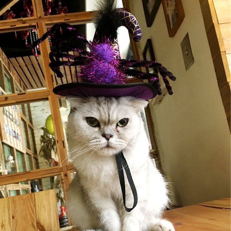 Carino Halloween Cappello Animale Domestico Del Gatto Del Partito Copricapo Costume Dress Up Con Cinturino Regolabile Accessori Cosplay