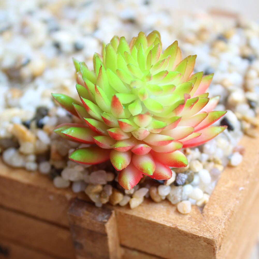 Mini bonsái Artificial de plástico para decoración de hogar y oficina, plantas suculentas de Echeveria, 1 unidad