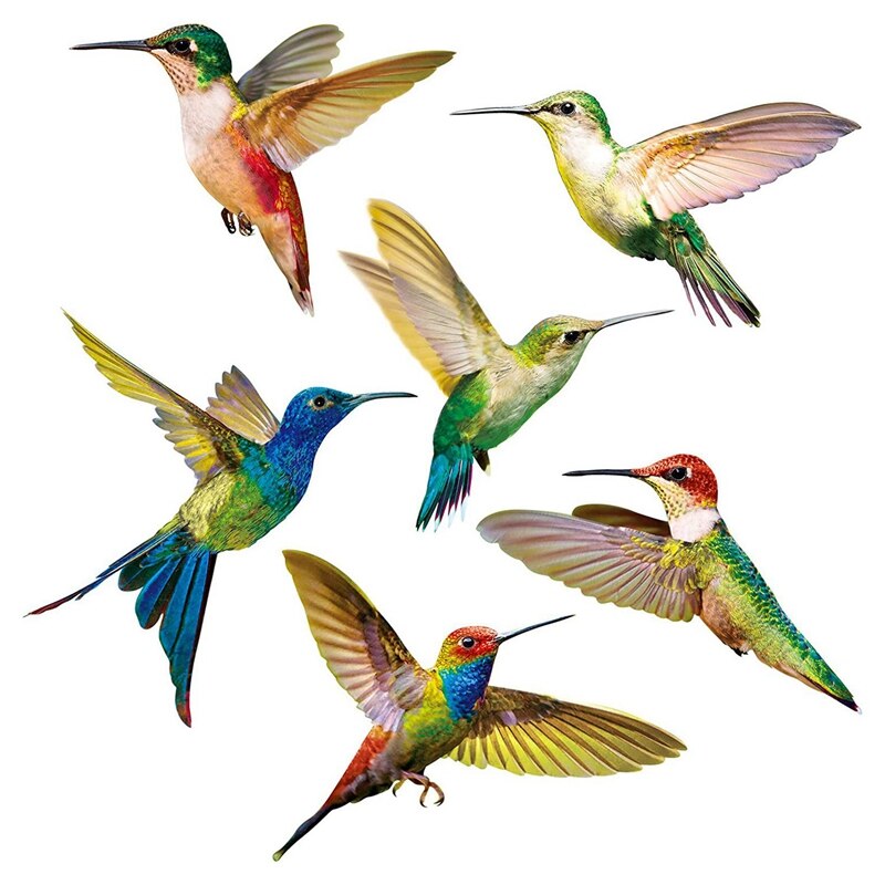6 Pcs Lrge Grootte Vogel Raam Kleeft Anti-Collision Raam Kleeft Decals Voorkomen Vogel Stakingen Op Vensterglas: Default Title