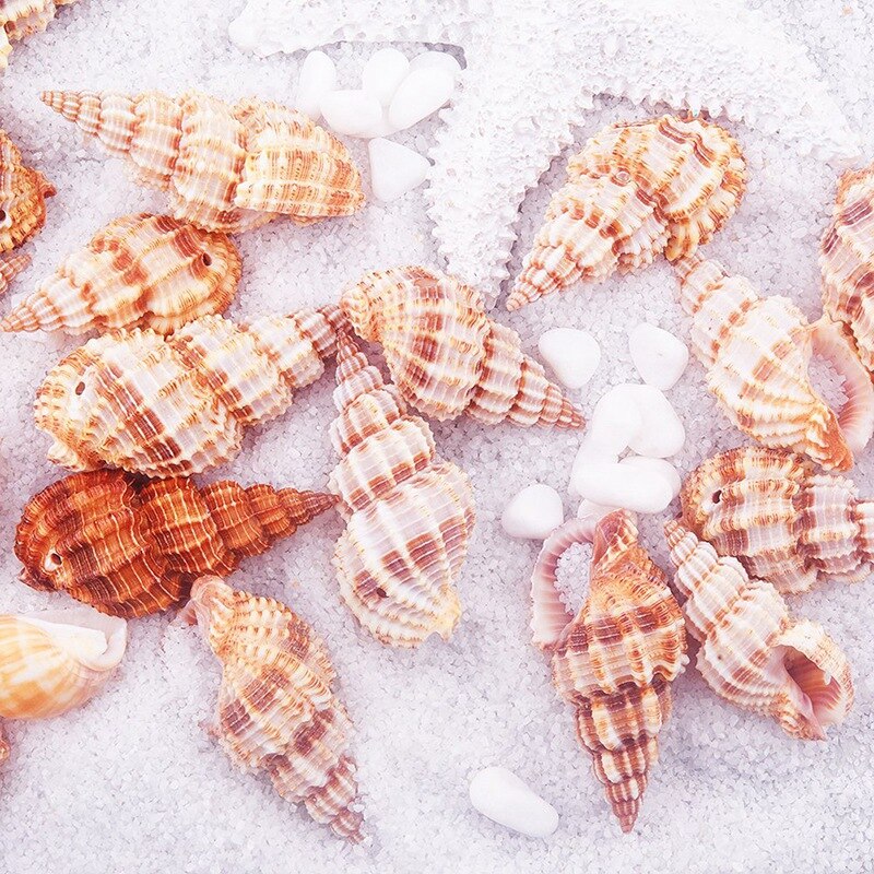 Ongeveer 40-50 Stukken Van Kleine Zee Schelpen, Spiraal Schelpen, Shell Craft Accessoires, geschikt Voor Kaars Maken, Strand Thema Party Wedd