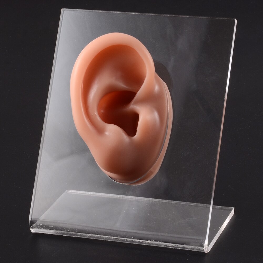 Modello di naso dell&#39;orecchio in Silicone con bordo trasparente pratica professionale piercing strumenti orecchini orecchini a bottone Display può essere riutilizzato gioielli: Coffee Right