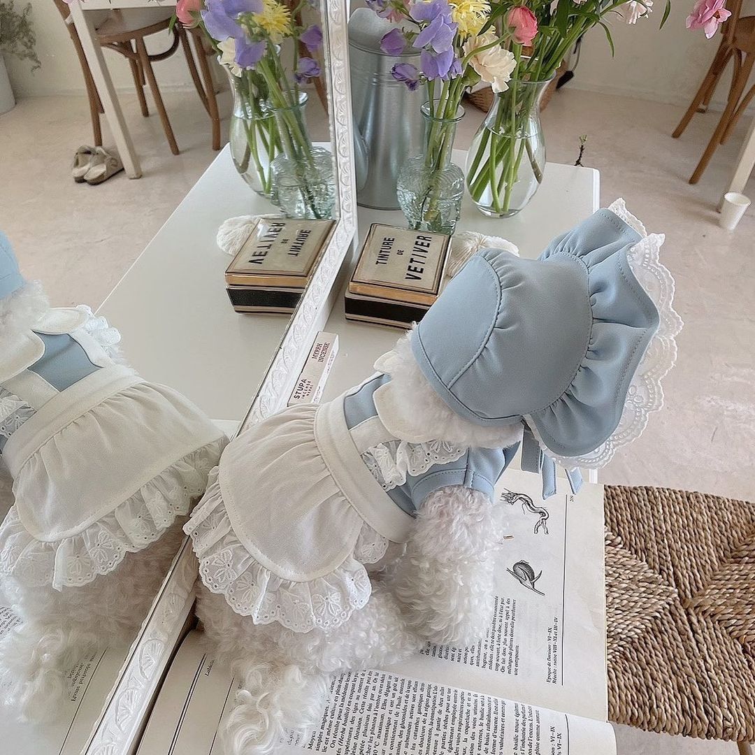 Haustier Hund Kleidung Rosa Blau Dienstmädchen Spitze Kleid mit Gleichen Stil Haarnadel Für Kleine Hund, Chihuahua,Yorkshire, malteser, Haustier Liefert Perros