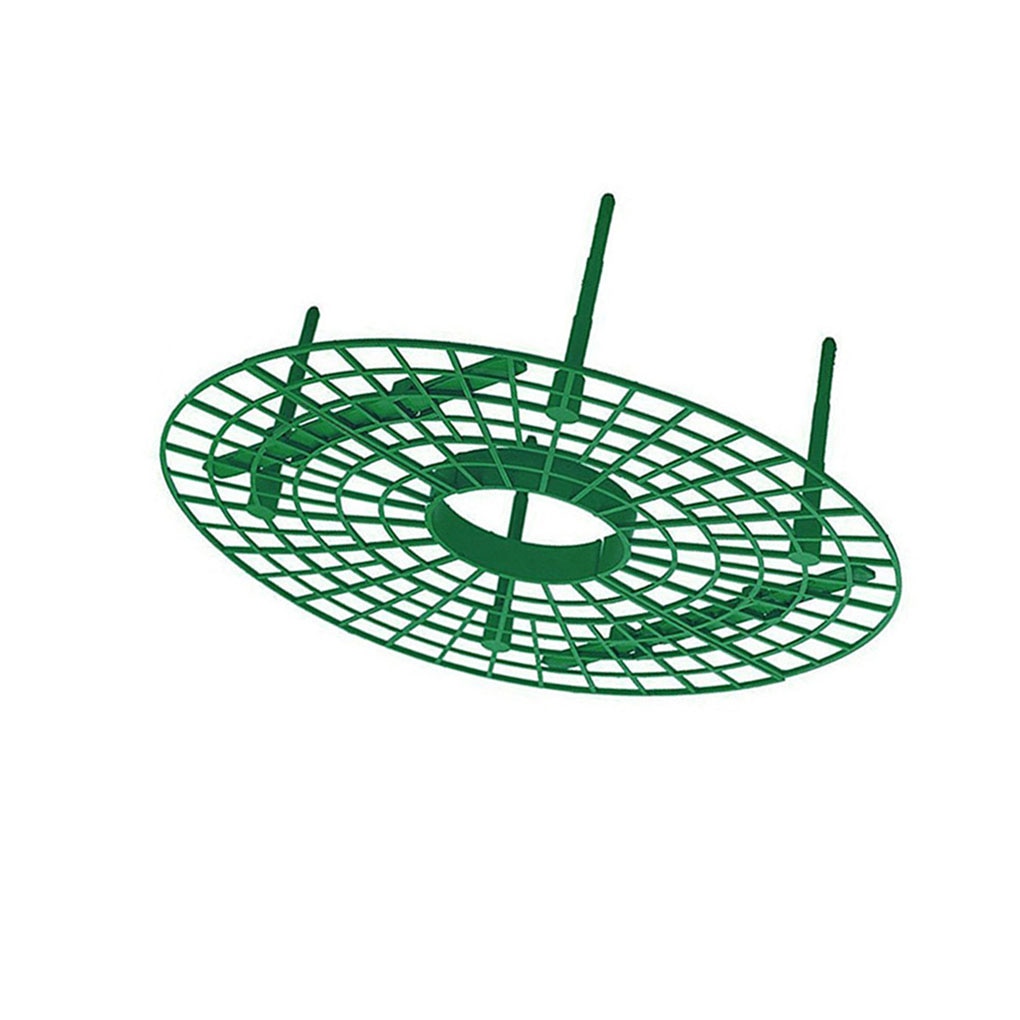 Fraise Support cadre Support balcon Support de plantation fruits Support plante fleur escalade vigne pilier Support jardinage Support