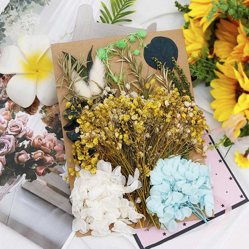 Fleur pressée mélangé fleurs séchées matériel pour bricolage aromathérapie bougies carte de voeux époxy artisanat boucles d'oreilles FAS6