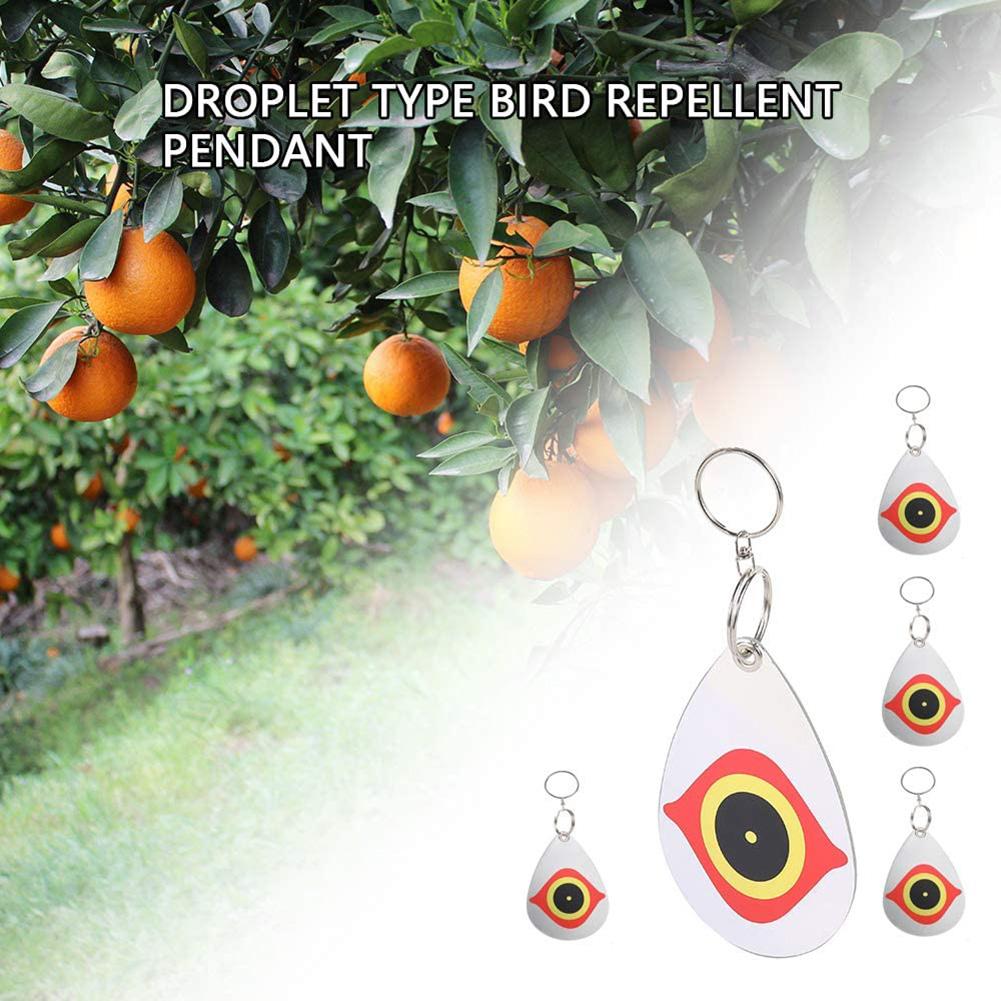 5Pcs Bird Repellent Reflective Dis Pest Repeller Pigeon Crow Hawk Goose Seagull Deterrent Repellent Disks For Garden Lawn Courty