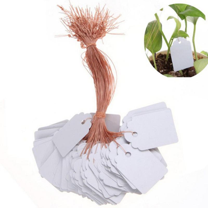 100pcs Plants Hang Tag Labels And Brands Seedling Garden Flower Pot Plastic Tag Number Plate Hanging Reusable: 3