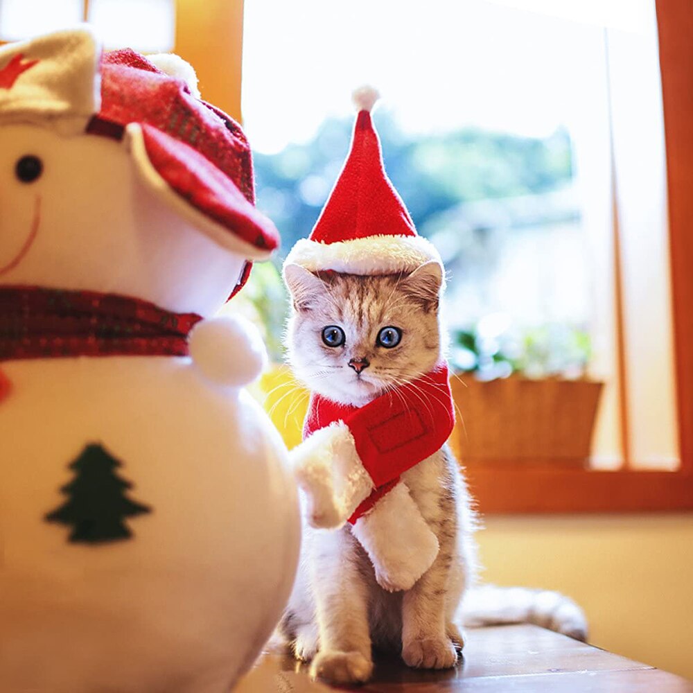 Kæledyr jul julemanden hat kulør hund kat colthes tilbehør levering