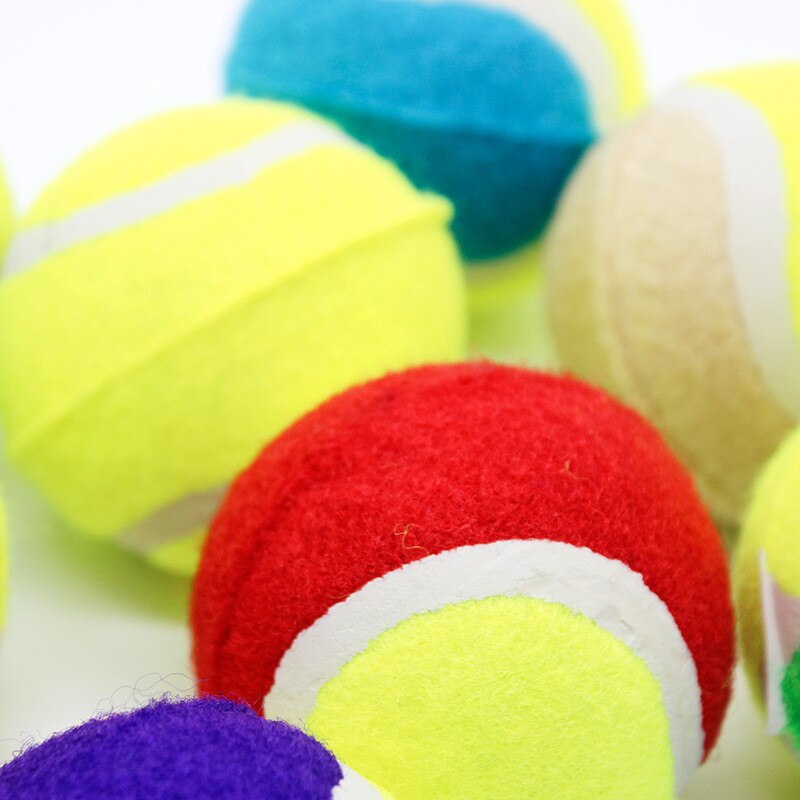 Diametro di 6.5 centimetri Palla Da tennis masticare Giocattolo per Il canna Gonfiabile Palla Da tennis animale domestico Interattivo Del canna Giocattoli Da Compagnia Forniture tutto'aperto Grillo giocattolo del canna