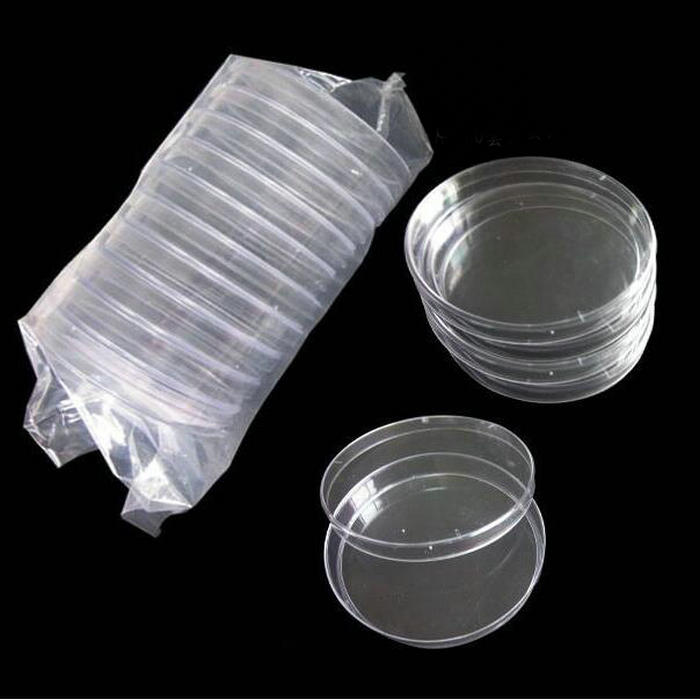 10 stks 30/60/70mm plastic petrischaal met cover Voor Lab Plaat Bacteriële Gist wetenschappelijke Supply