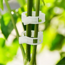10/50/100 stuks Duurzaam 30mm Plastic Plant Ondersteuning Clips Voor Soorten Planten Opknoping Wijnstok Tuin Kas groenten Tuin Ornament
