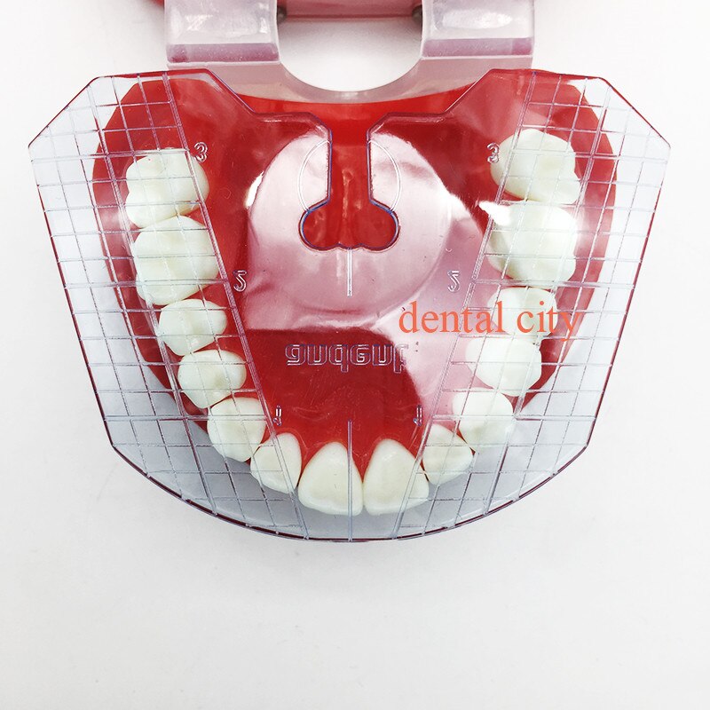 1pcs dental lab dental guide plate teeth arrangement on denture work Dental equipment