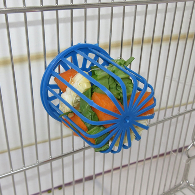Alimentador de frutas para loros, soporte para aperitivos de aves, dispensador de golosinas para pinzones, cacatúa colgante en jaula, cesta de verduras, fácil de usar, 157A