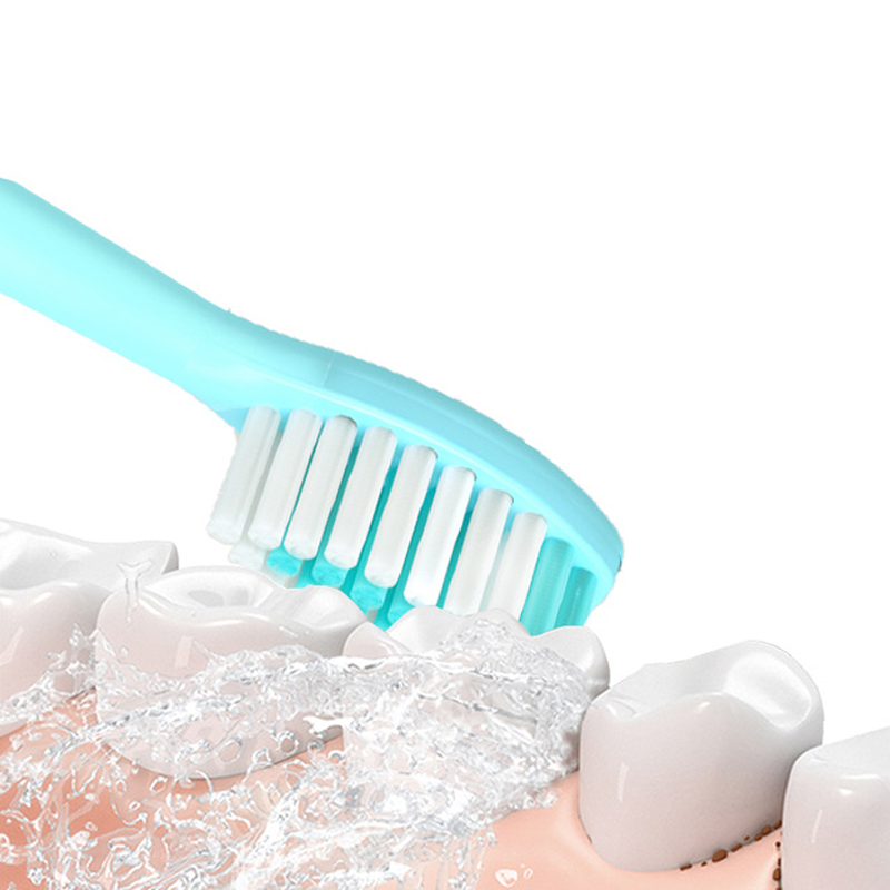 Sonic Electric Toothbrush Waterproof Soft Hair Tooth Brushes Large Button Smart Toothbrush Home Battery Toothbrush