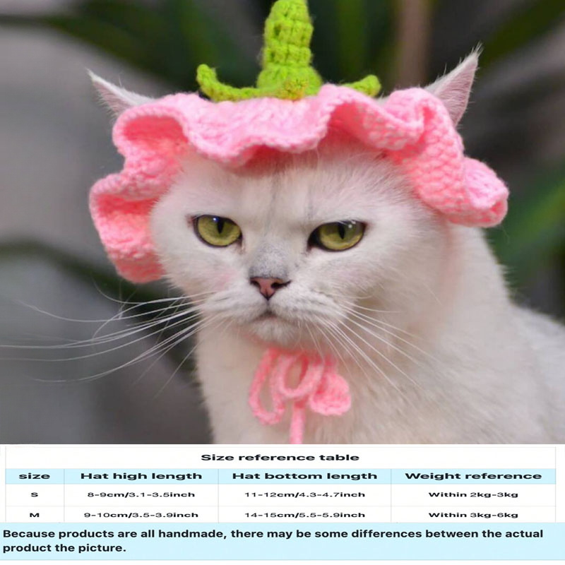 Sombrero de flores, sombrero de ganchillo para gato, perro pequeño, sombrero de berenjena de ganchillo, patrón para gatos y perros, ropa para gatos, accesorios para gatos, traje para mascotas