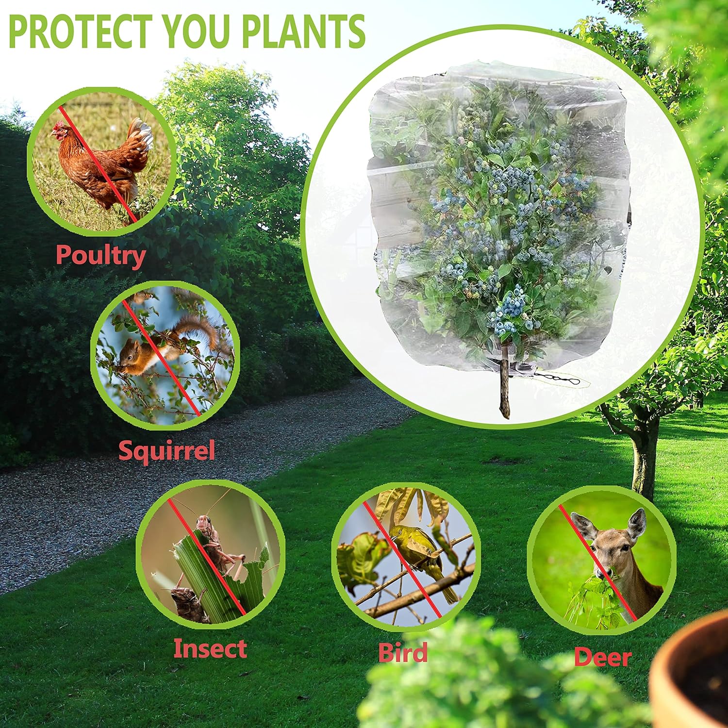 2 mallas protectoras para plantas, para tomates, para jardín, para protegerlas de insectos, aves y verduras.