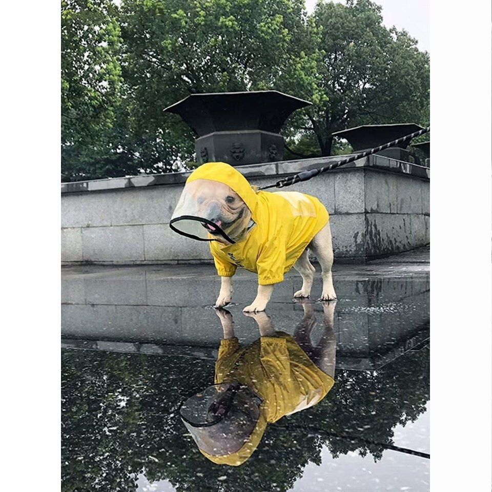 Chubasquero para perro Bulldog francés, abrigo de lluvia para mascotas, ropa impermeable para cachorros, chaqueta para perros pequeños y medianos, HPC07