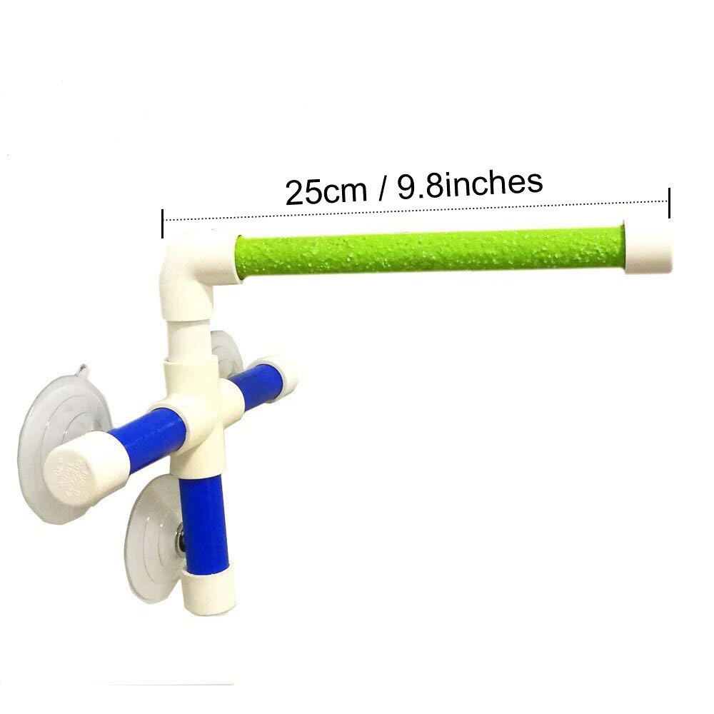 discoteca succhiare animale domestico Uccelli Pappagalli Vasca Da Bagno Doccia in Piedi Piattaforma sbarra Zampa Rettifica Staffa Stazione Interessante Posatoi Giocattolo