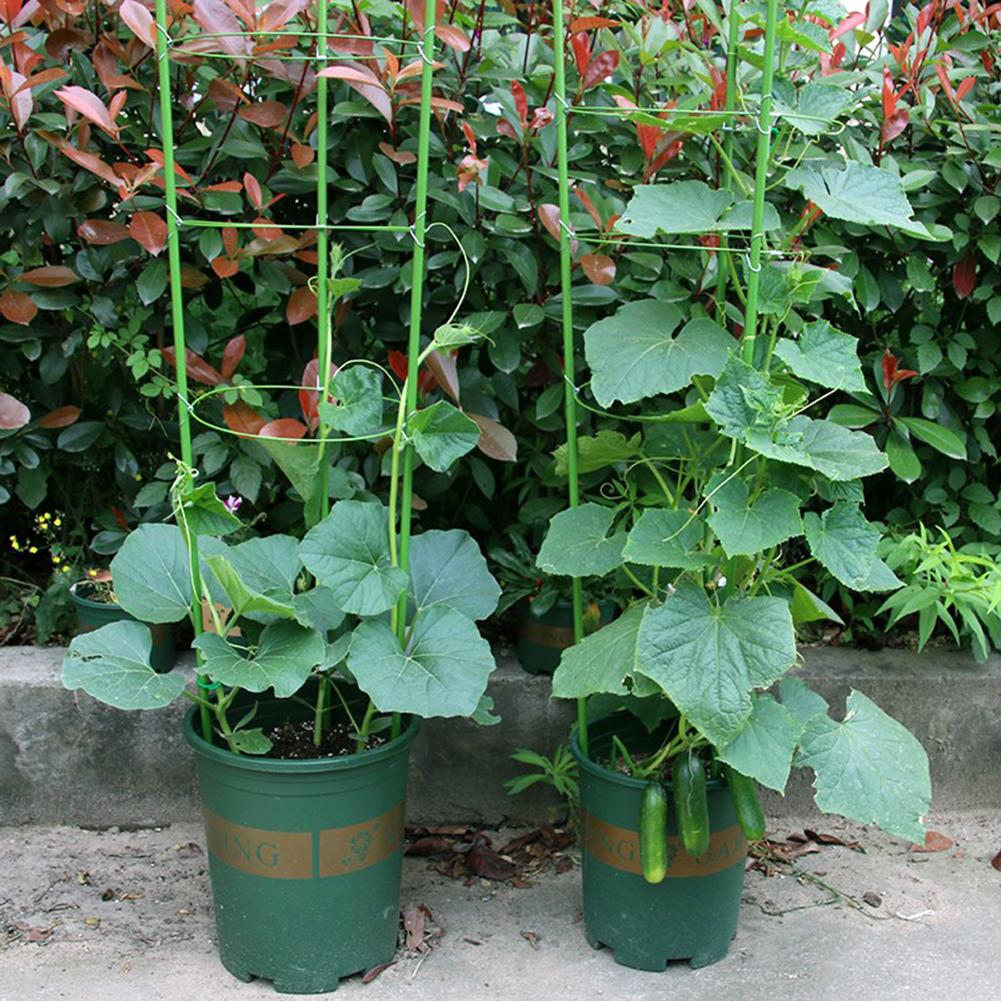 Holdbar klatreplante støtte bur hage espalier blomst tomat stativ med 3 ringer hagearbeid tomat bur klatrestativ