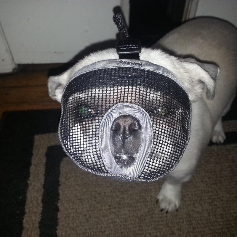 Short Snout Dog Muzzles Adjustable Breathable Mesh Bulldog Muzzle for Biting Chewing Barking Training Dog Mask