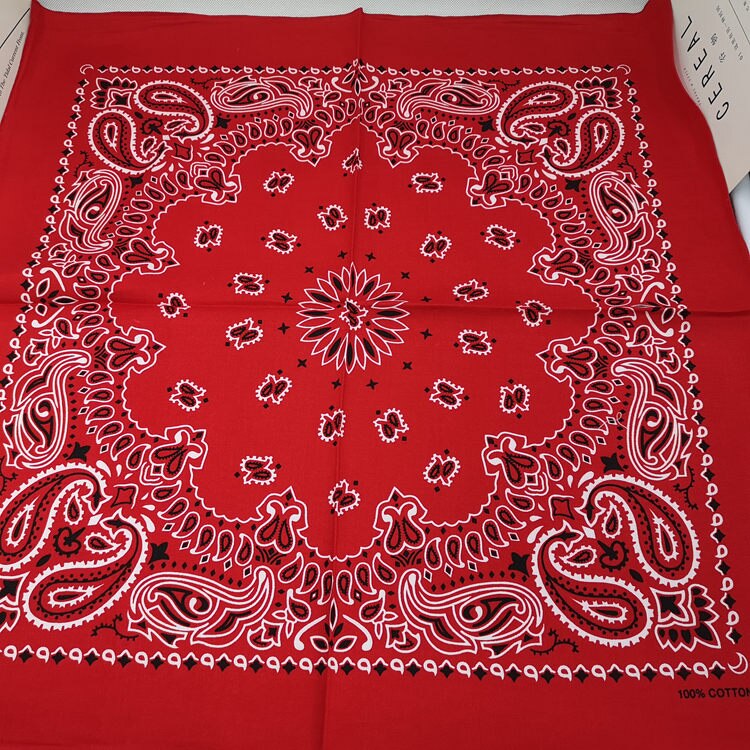 Plaid Multifunction Punk Bandana