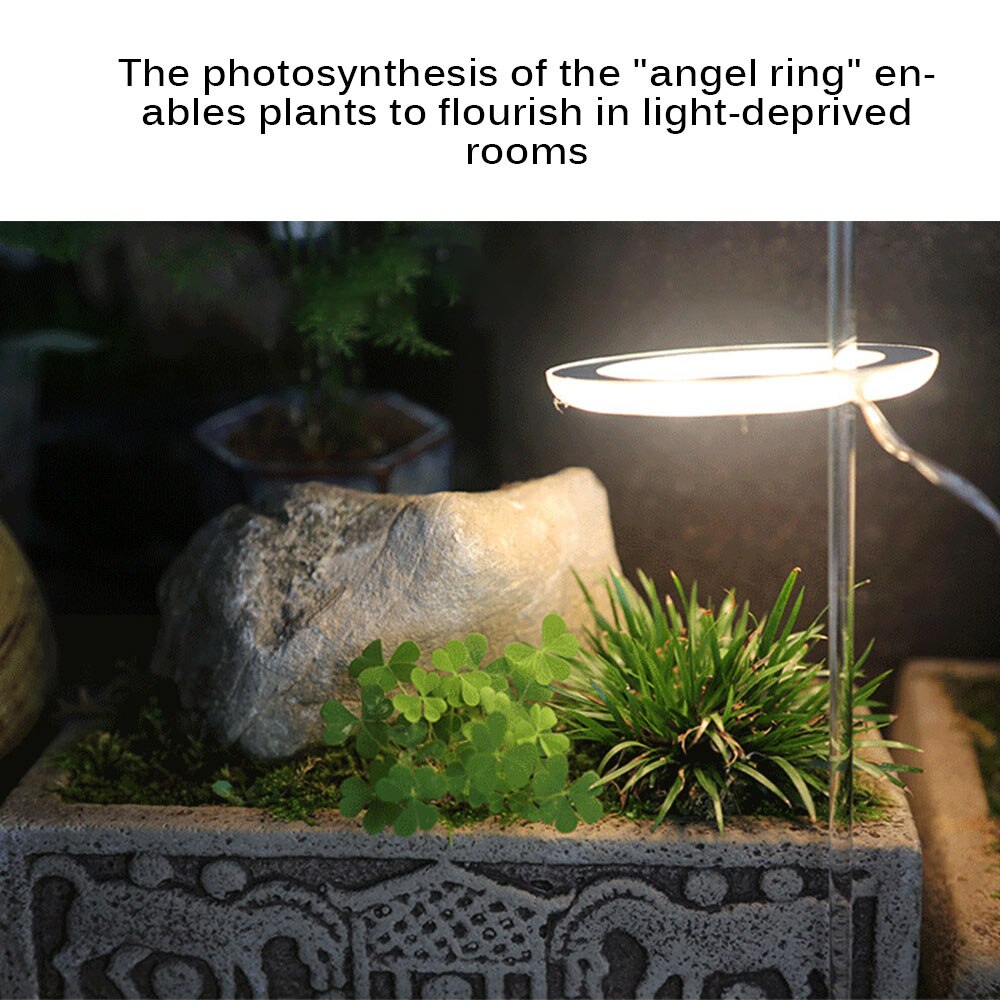 Led Grow Light Volledige Spectrum Phyto Groeien Lamp Usb Phytolamp Voor Planten 5V Lamp Voor Planten Groei Verlichting Voor indoor Plant Home