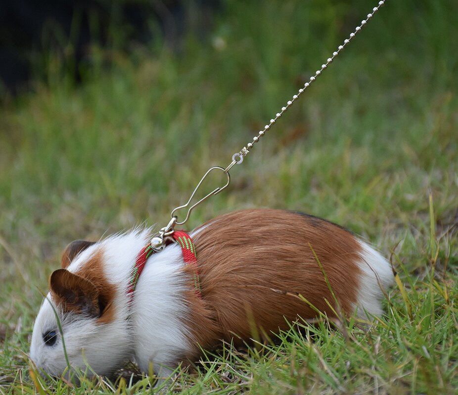 Arnés de hámster con cascabel para mascotas, arnés ajustable para rata, ratón, hámster, buscador de hurón