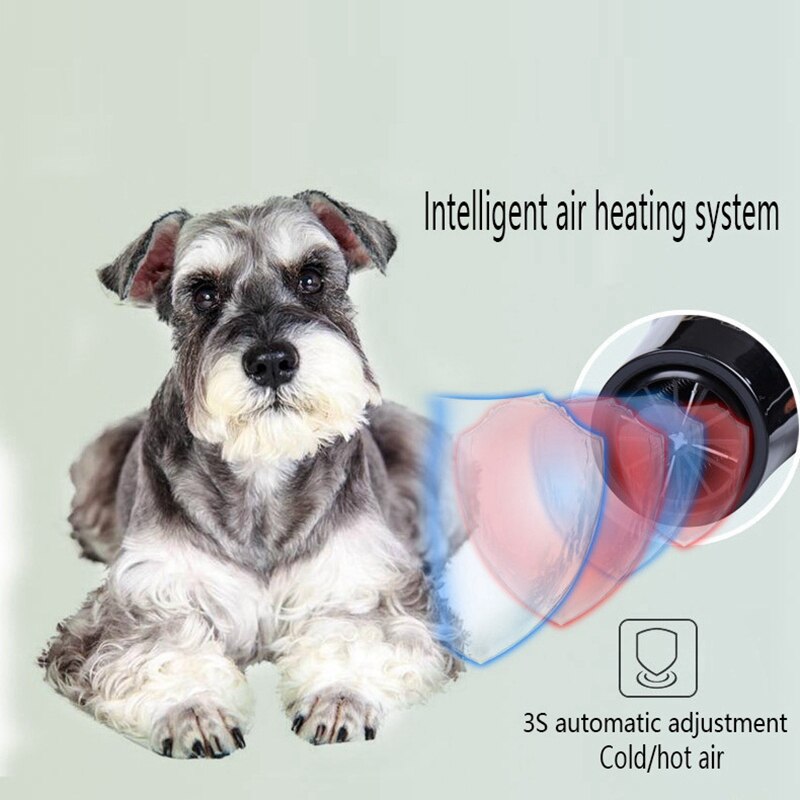 Top Negative Ion Hair Dryer 3000W Blow Dryer Powerful Electric Dryer Cold Air Circulating Blowdryer EU Plu