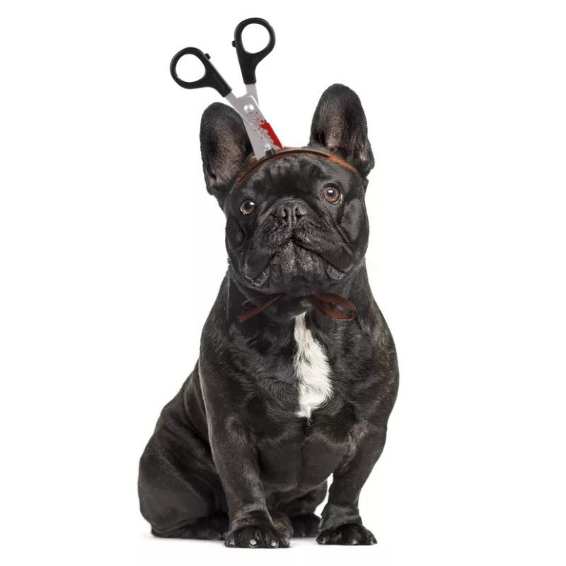 Tocados para perros y gatos, sombreros para Navidad, Halloween, sombreros de Papá Noel, Cosplay, accesorios de vestir S/M: Negro / S