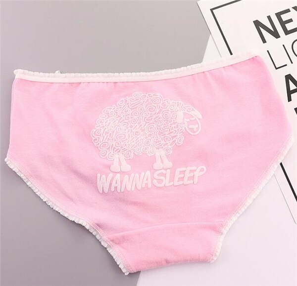 2019 NUOVO 4 pz/lotto Cute Girl Mutandine e boxer Biancheria Intima Slip di Cotone Biancheria Morbida E Confortevole Slip TWY-921-1-4p